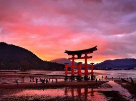 Vi vu Nhật Bản trọn vẹn với những điểm đến tuyệt đẹp