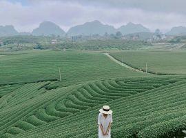 VNAirlines đưa bạn vi vu du lịch Quảng Nam